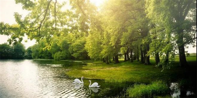 百乐博红瞰花园洋房